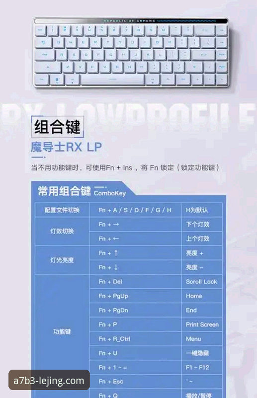 乐竞最新版本功能详解：从下载到使用的完整指南